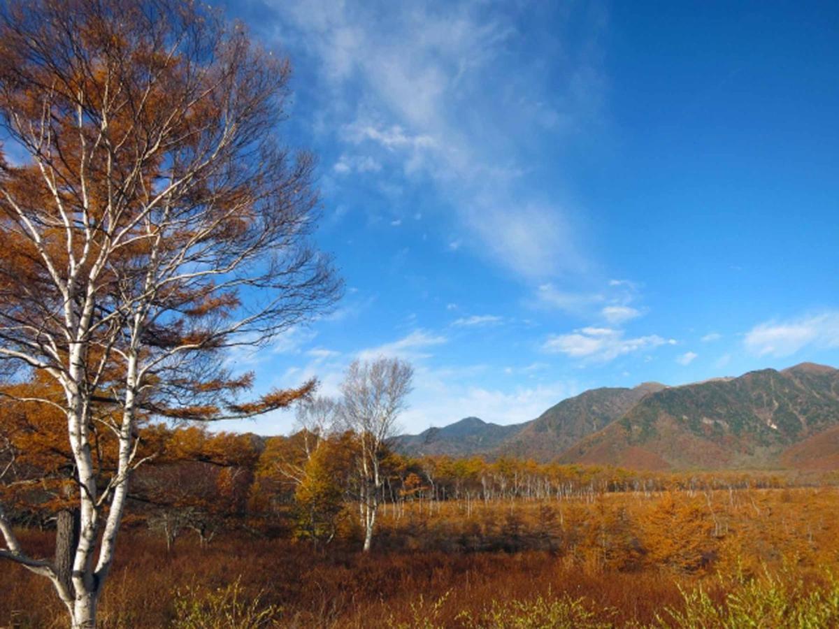 Okunikko Park Lodge Miyama Екстериор снимка